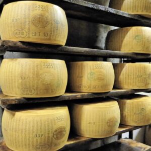 Cheese