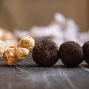 Truffle