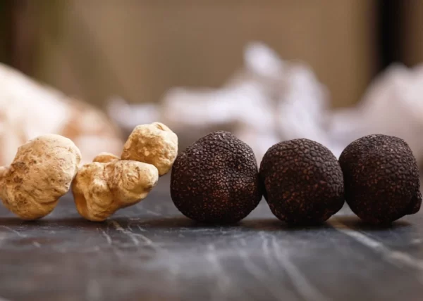 Truffle